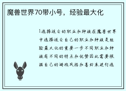 魔兽世界70带小号，经验最大化