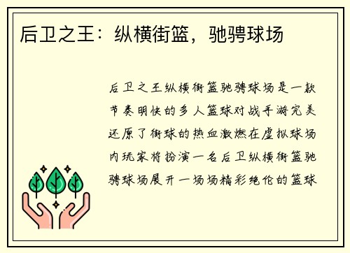 后卫之王：纵横街篮，驰骋球场